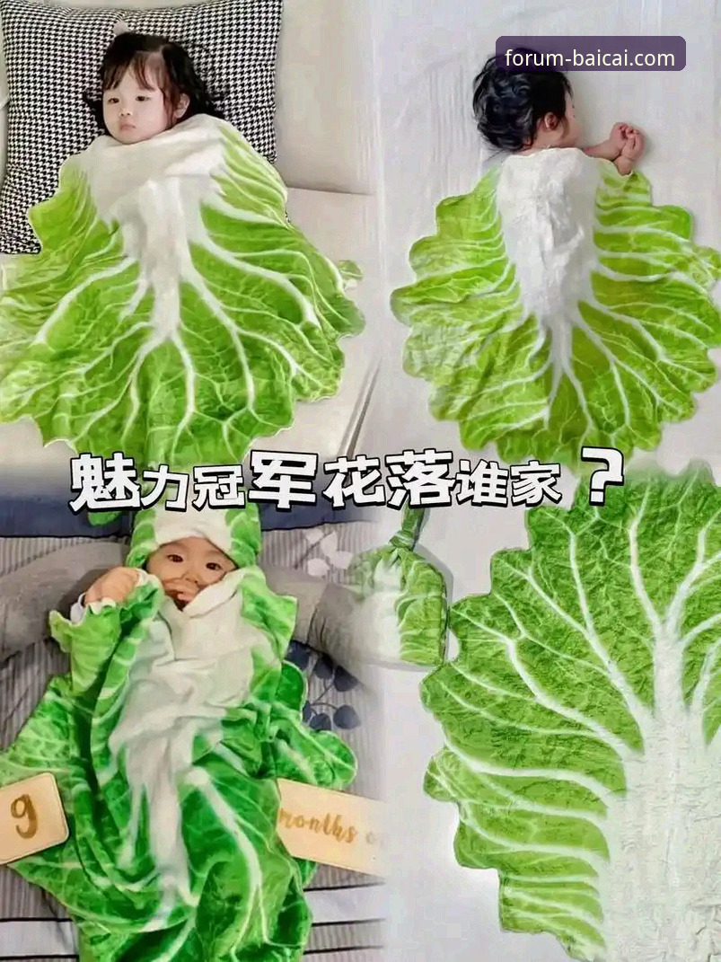 揭秘冠军白菜网论坛：这个平台到底正规不正规？深度评测背后的真相