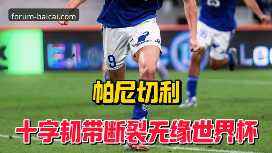 帕尼切利伤退世界杯：一次关于“战术变量”缺失的深度评测