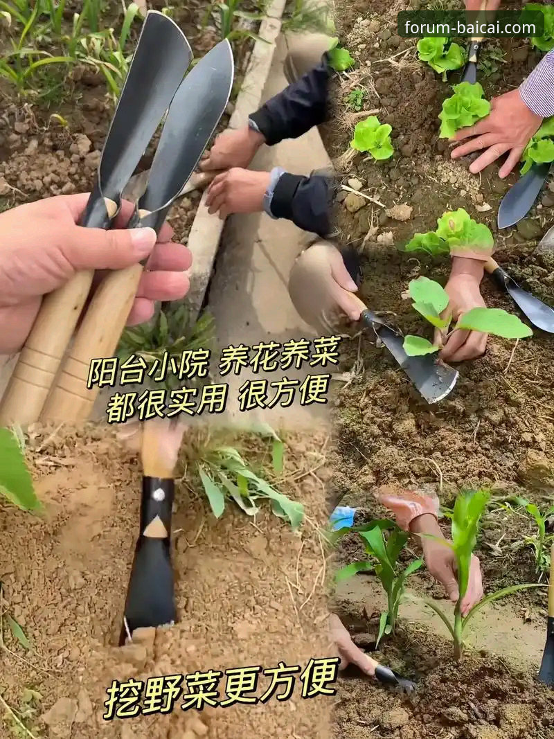 冠军白菜网优惠安装失败 5个实用技巧解决冠军白菜网优惠安装失败问题,轻松享受手机版服务